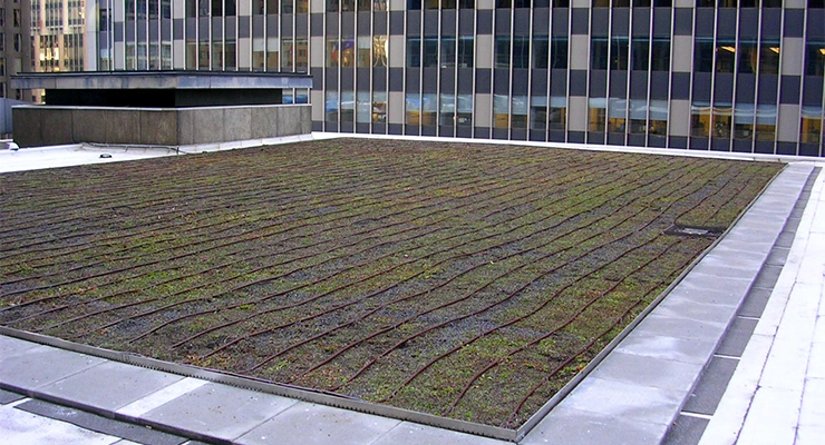 Pacific Lawn Sprinklers commercial irrigation photo